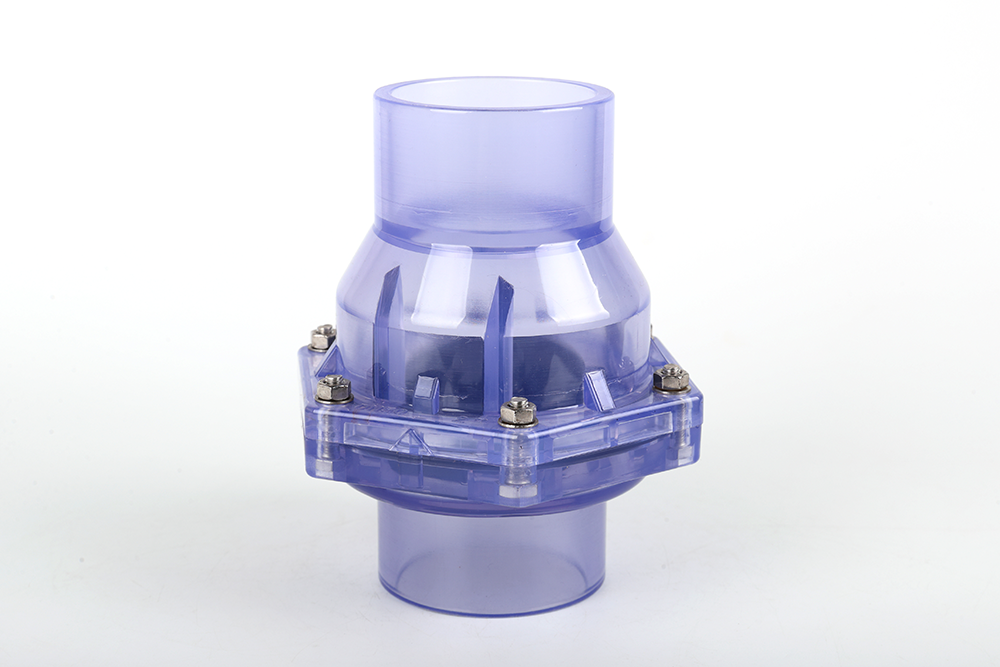 鹿寨透明翻板式止回阀